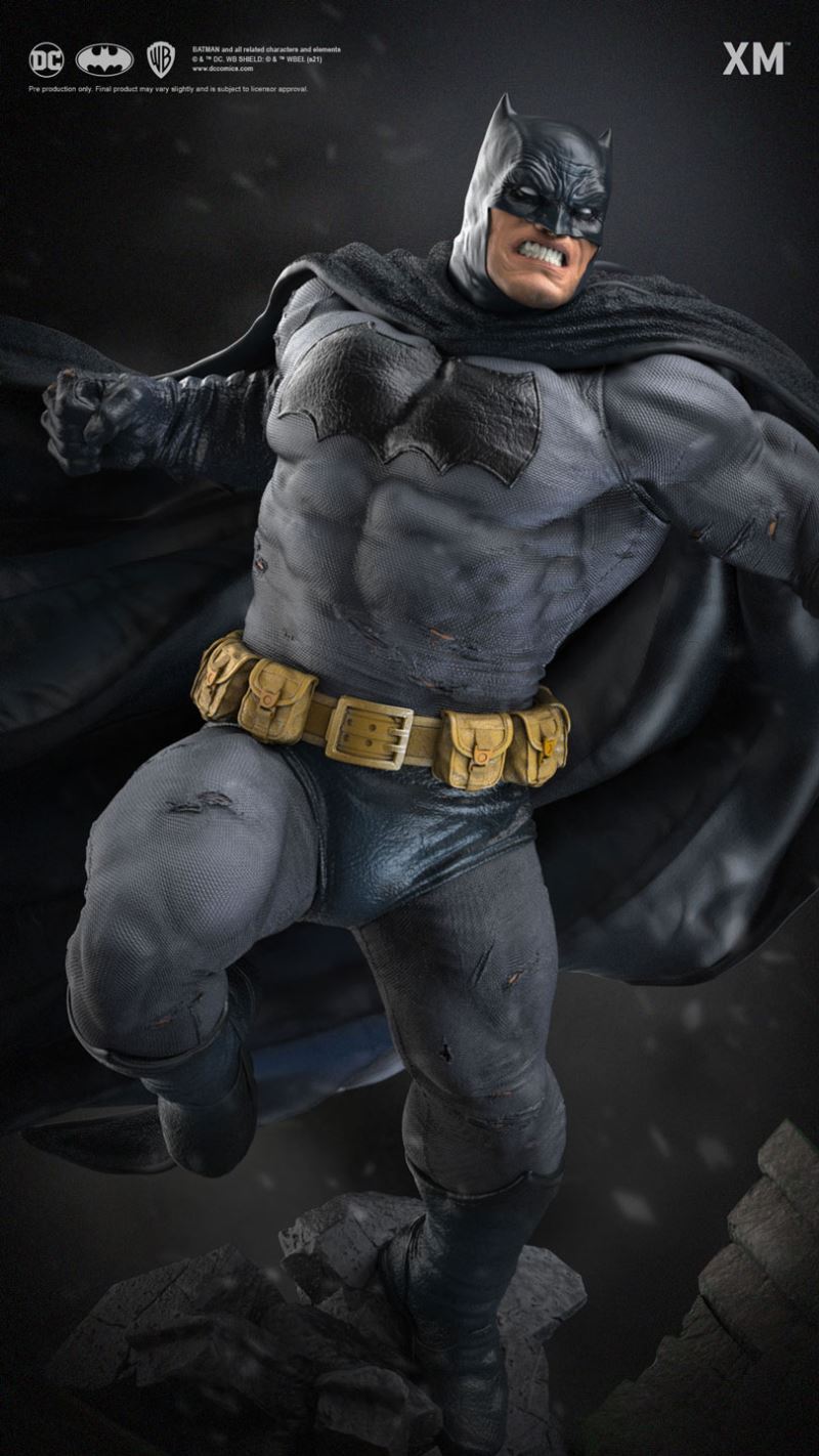 Batman: The Dark Knight 1/6 ~ 1/4