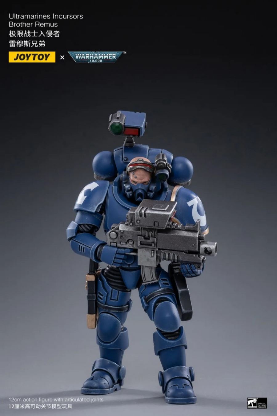 ULTRAMARINES INCURSORS & INFILTRATORS