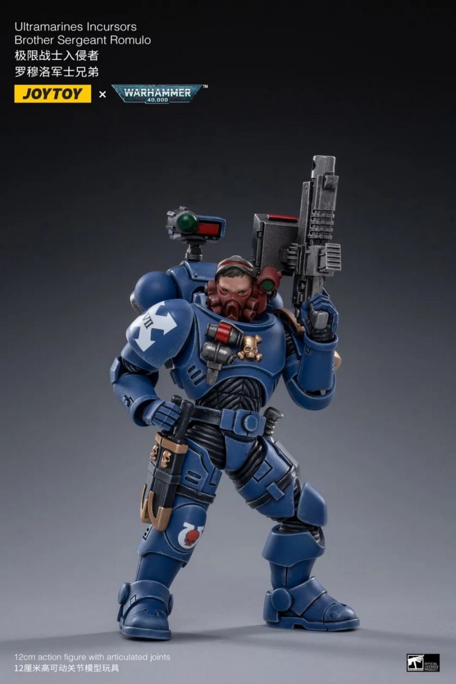 ULTRAMARINES INCURSORS & INFILTRATORS