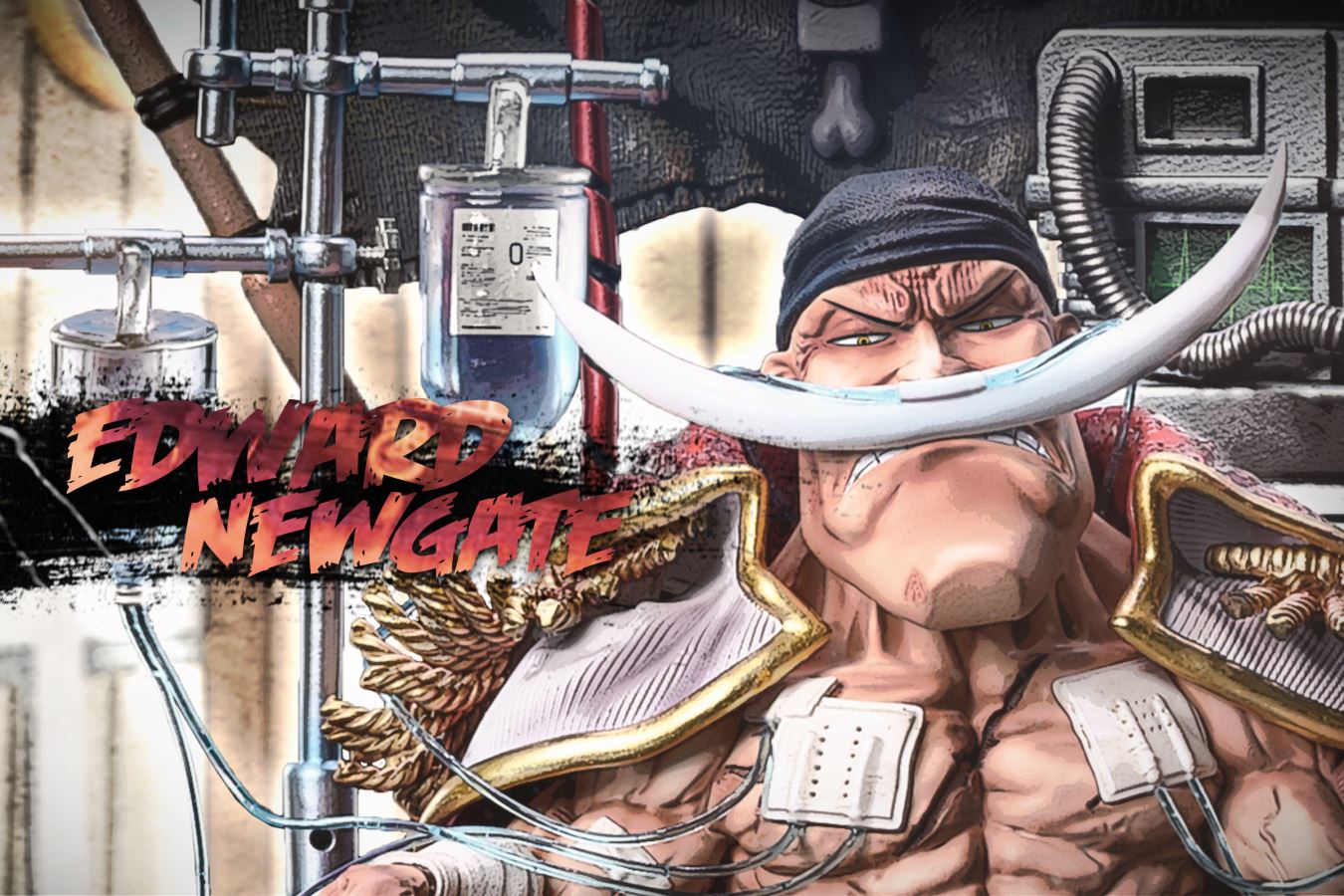 Hospitalized White Beard – One Piece