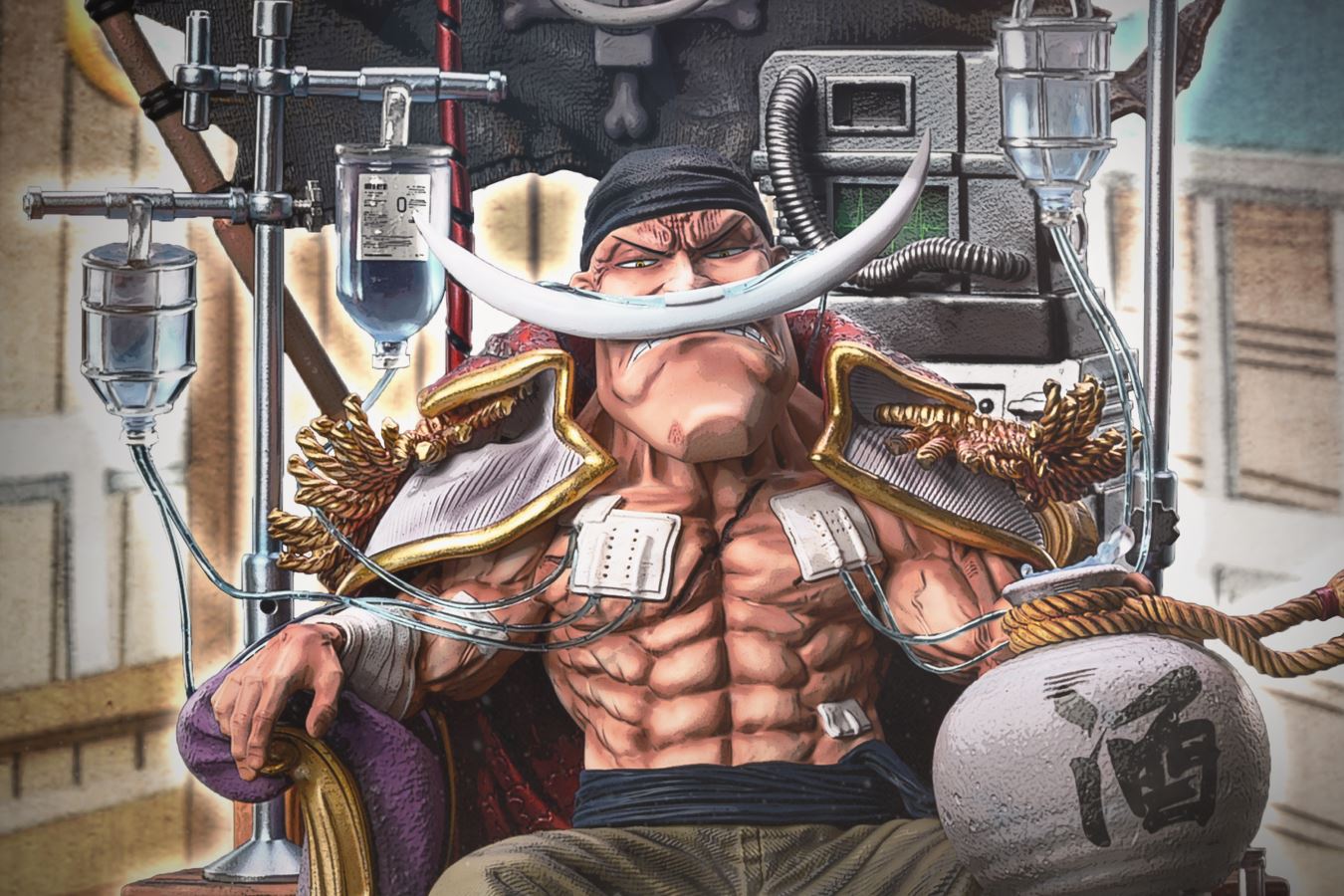 Hospitalized White Beard – One Piece
