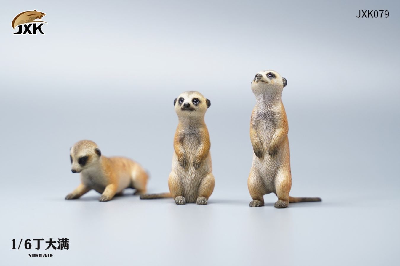 Lion King 1/6
