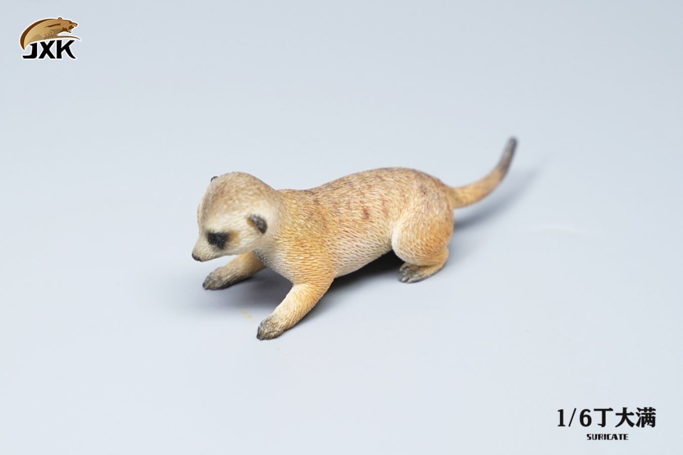 Lion King 1/6