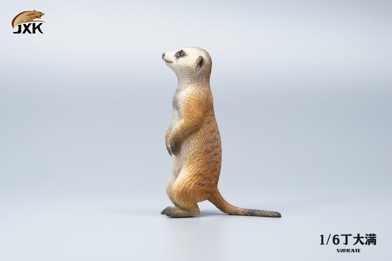 Lion King 1/6