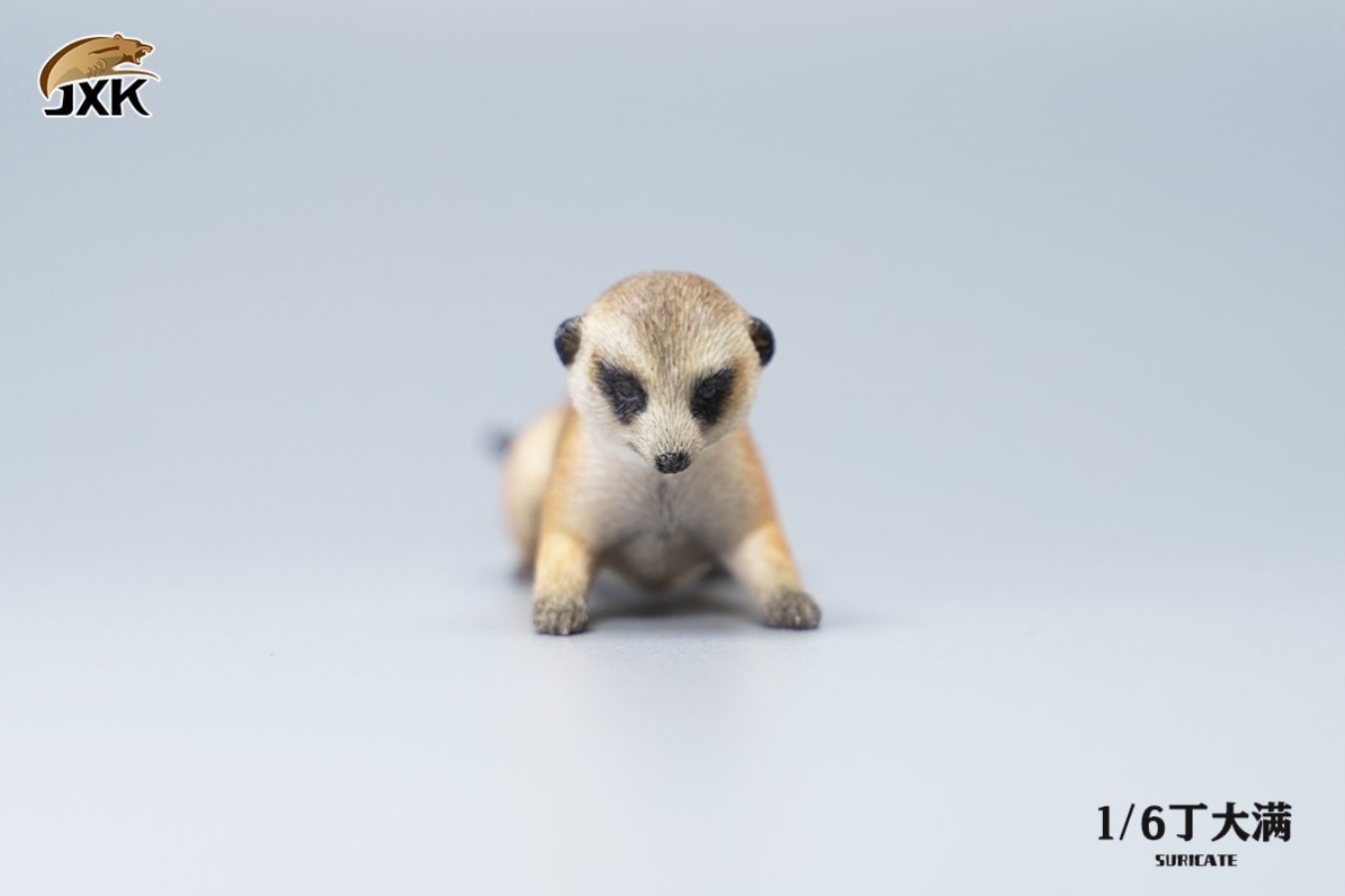 Lion King 1/6