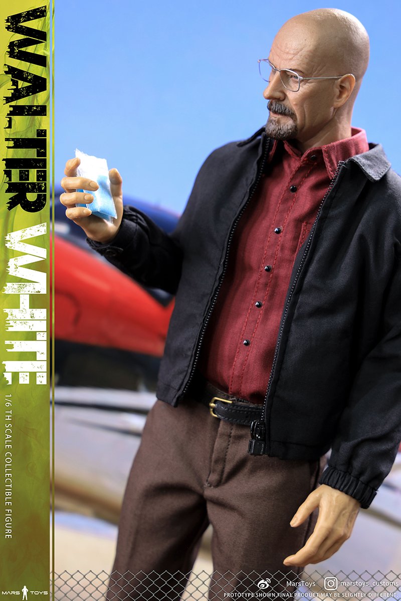 Walter White 1/6