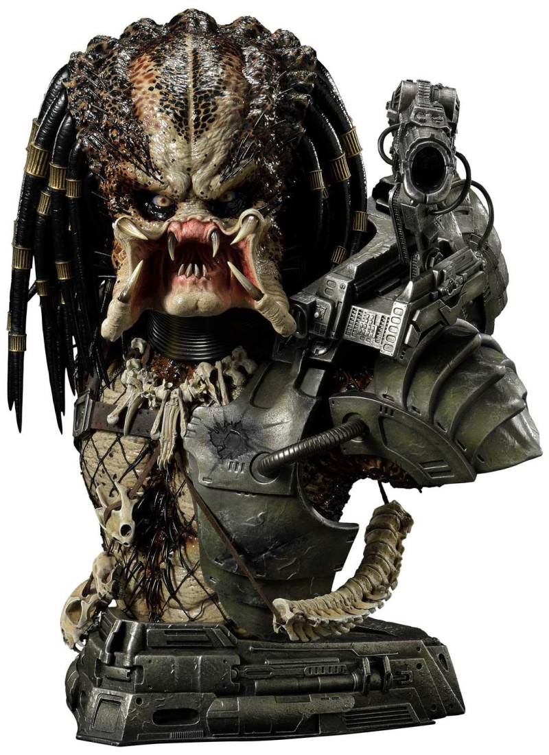 Jungle Hunter Predator Unmasked