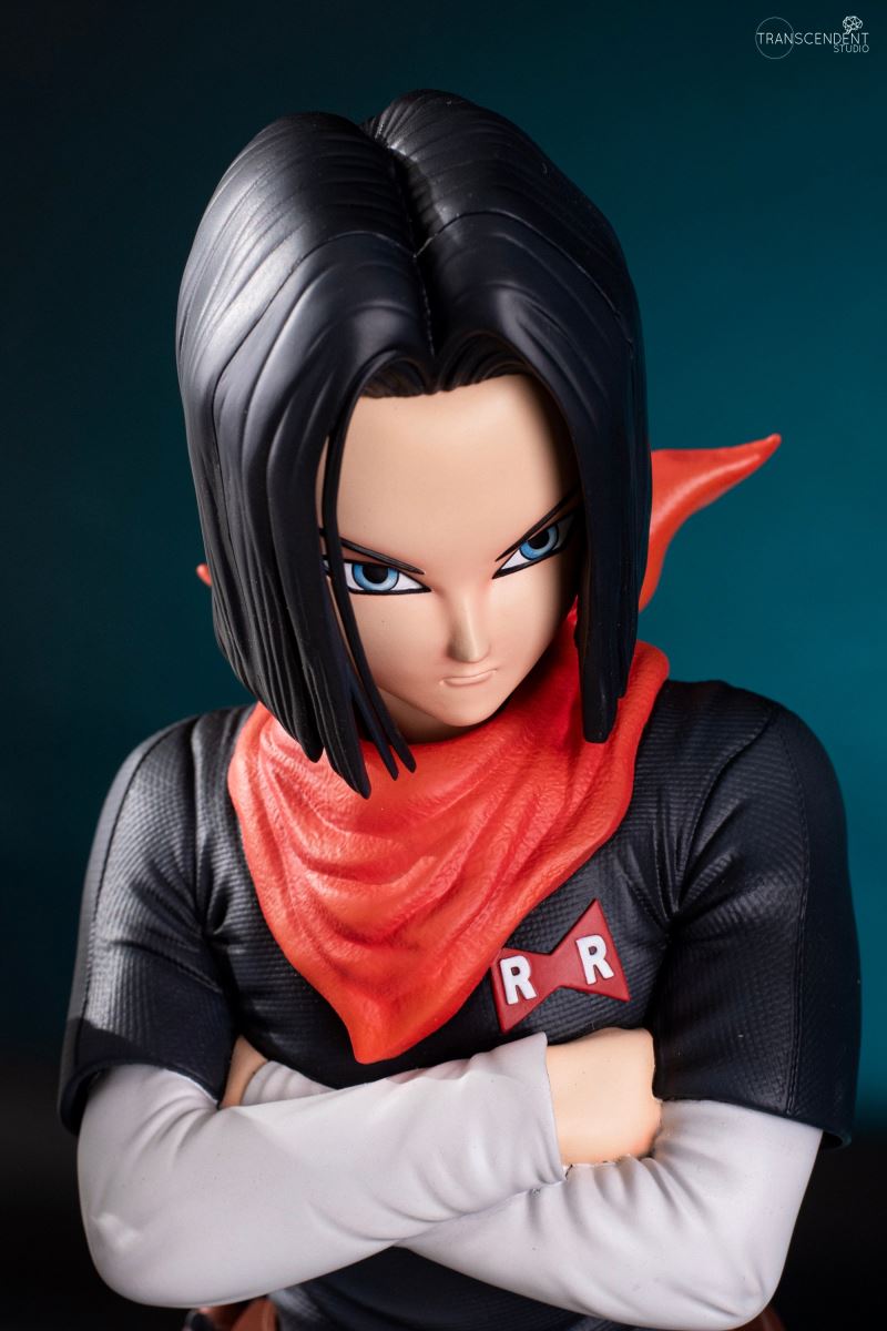 Android 17 & 18 (EARLY BIRD)