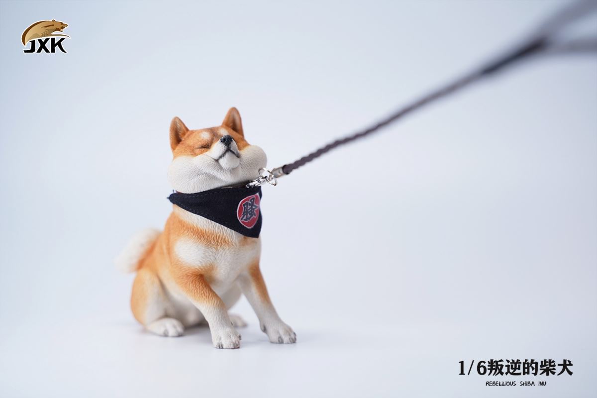 Rebellious Shiba Inu 1/6