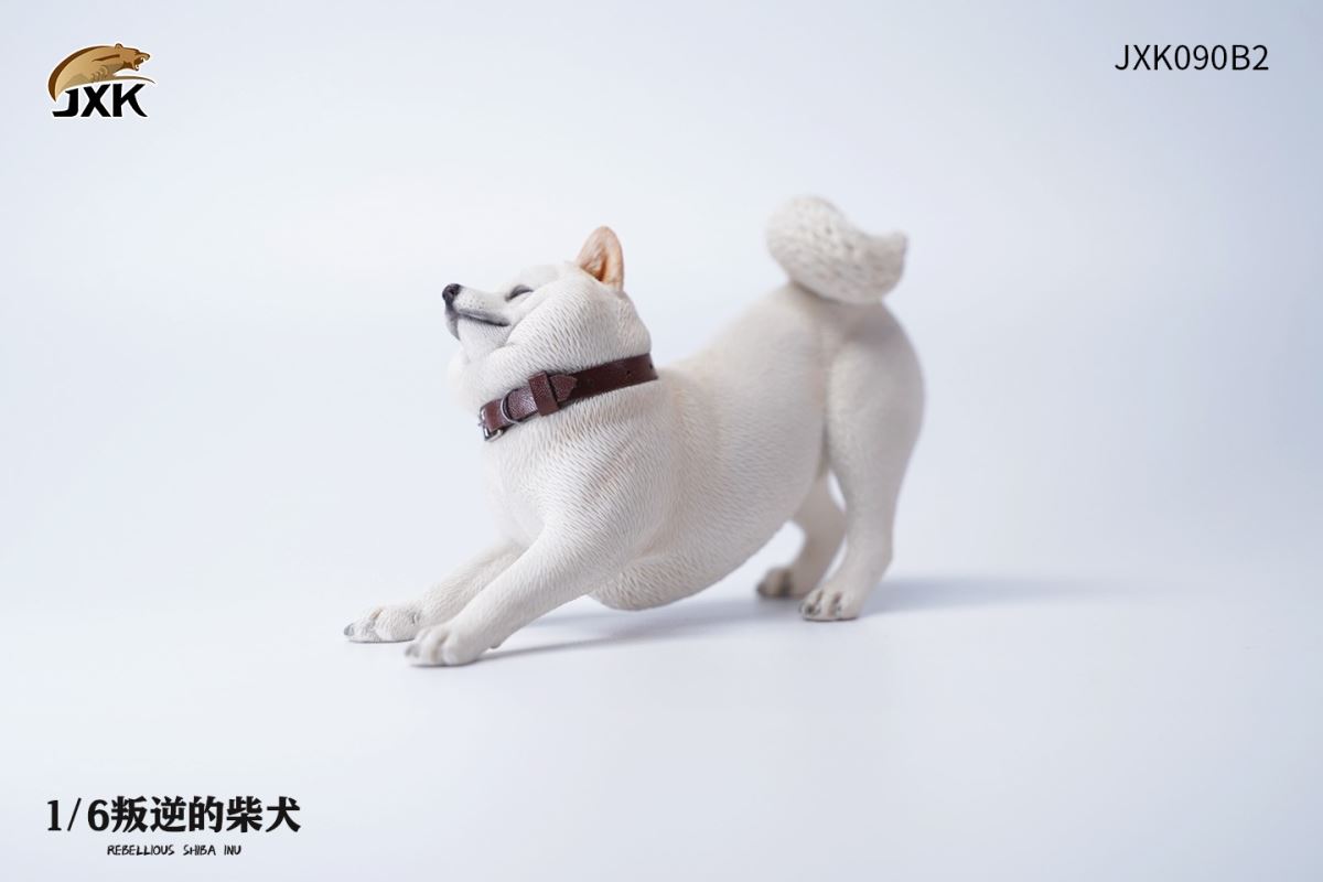 Rebellious Shiba Inu 1/6
