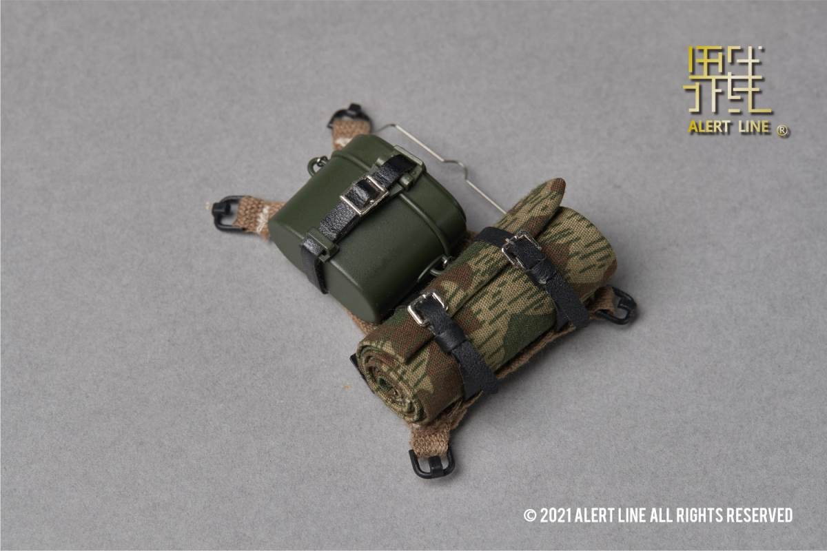 WWII German Army Officer 1/6