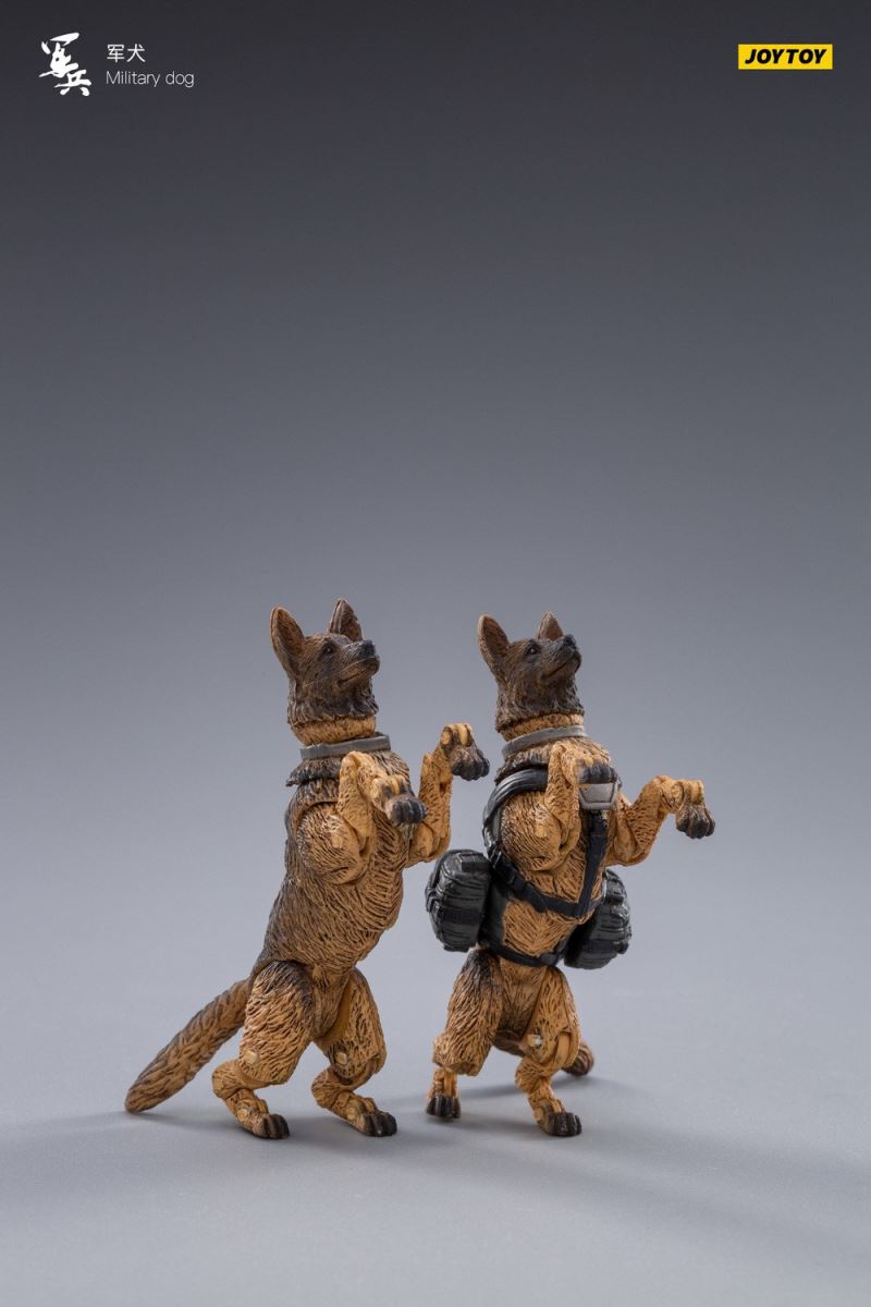 Military Dog 1/18