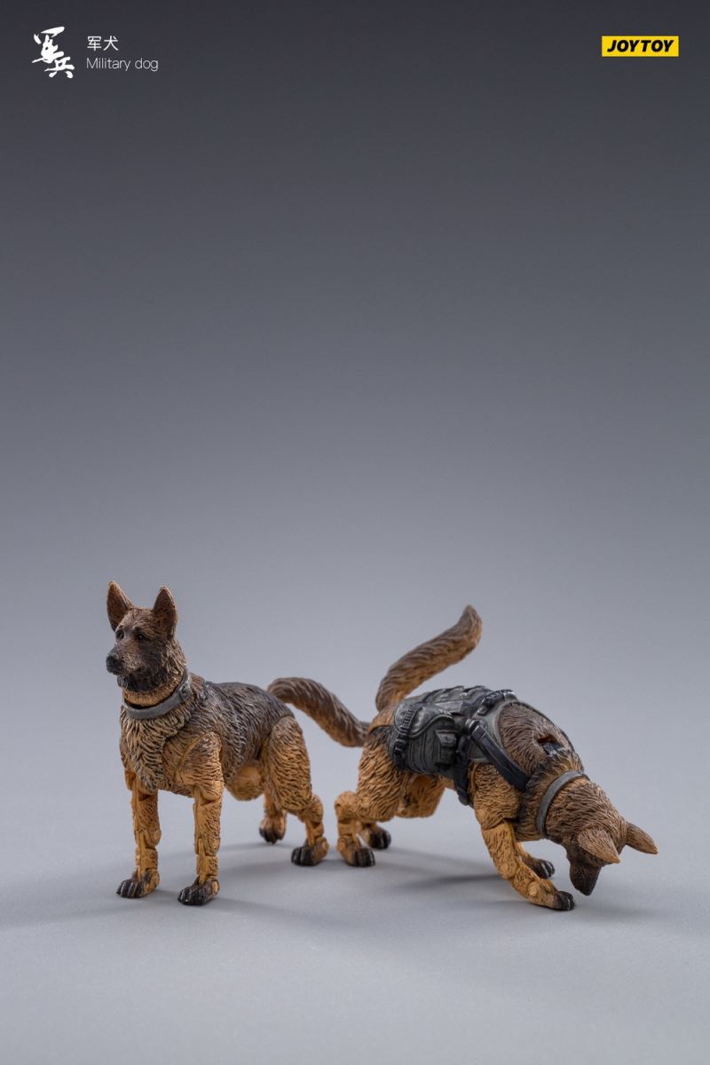 Military Dog 1/18
