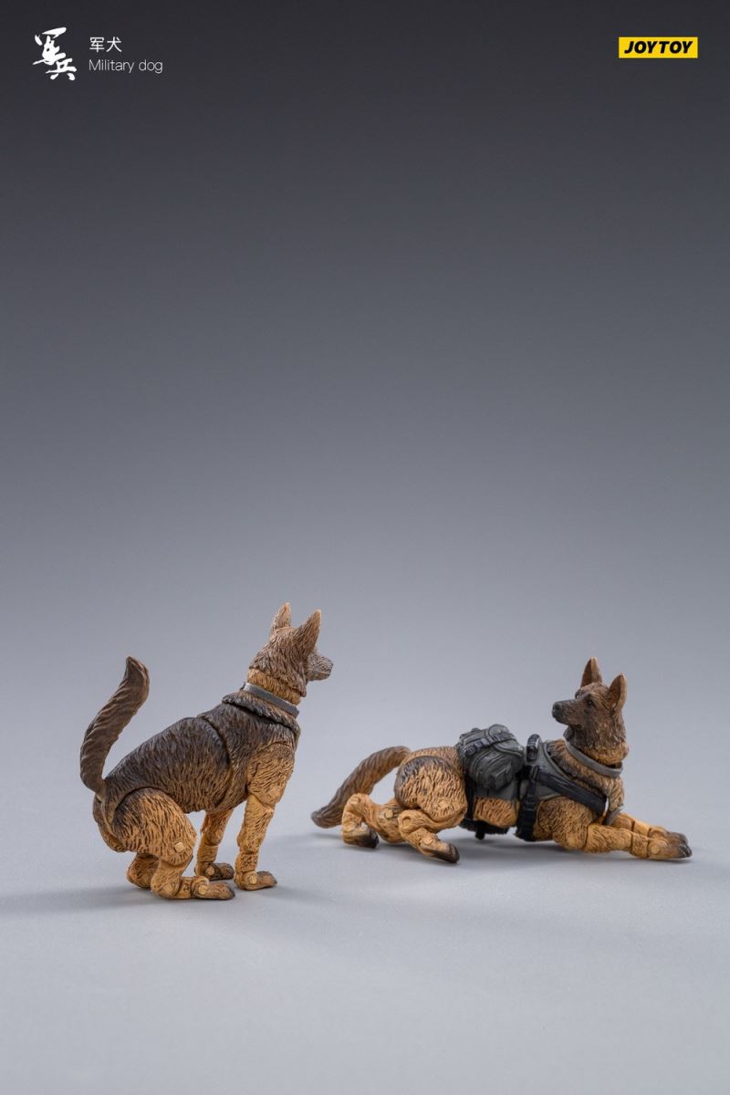 Military Dog 1/18