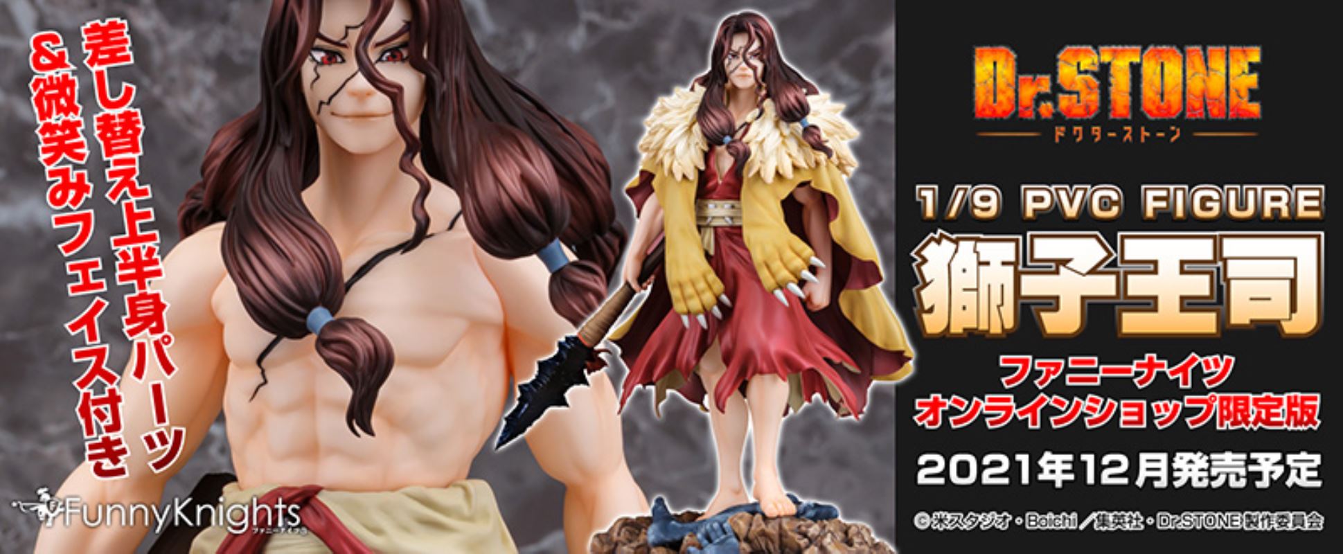 Dr. STONE - Tsukasa Shishiou 1/9