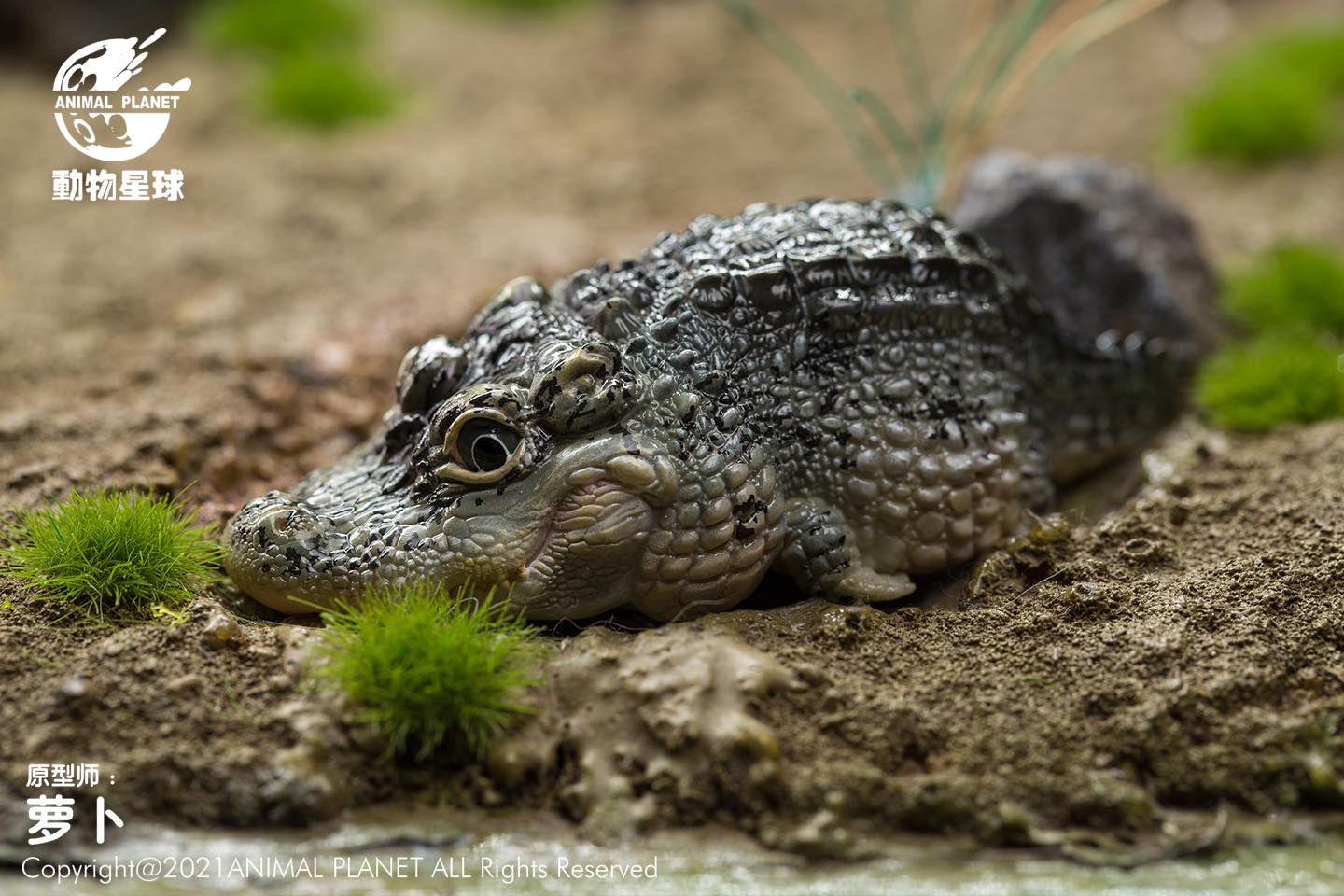 Chinese Treasure