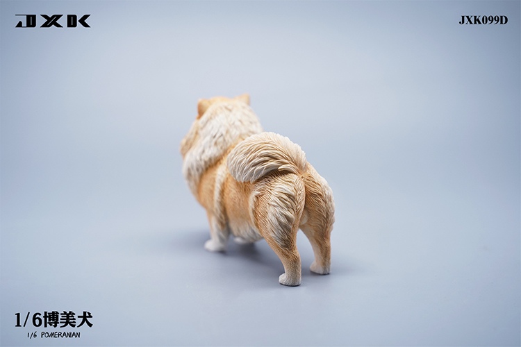 Pomeranian 1/6