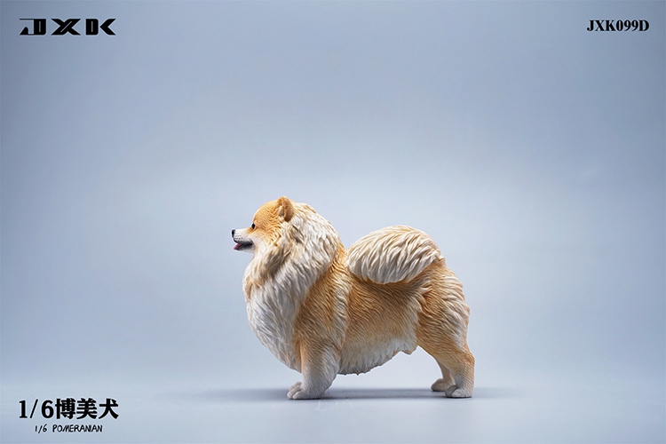 Pomeranian 1/6