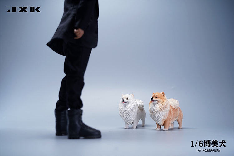 Pomeranian 1/6