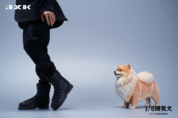 Pomeranian 1/6