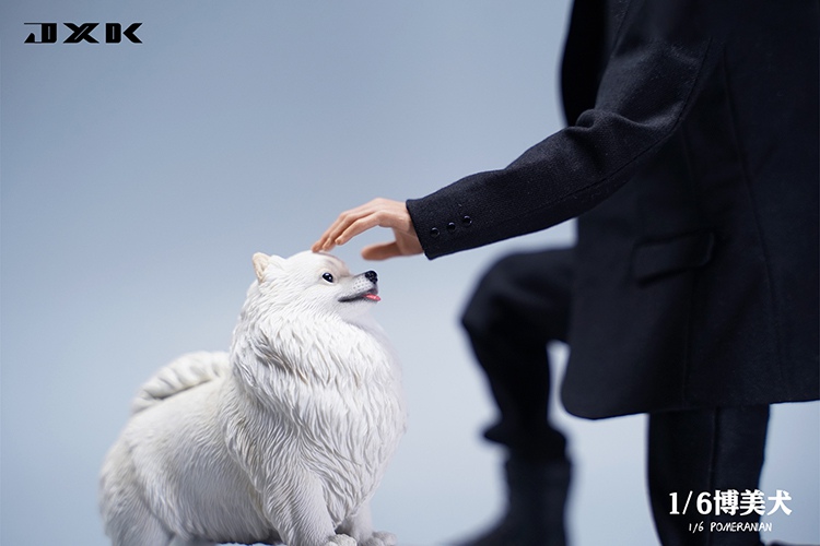 Pomeranian 1/6