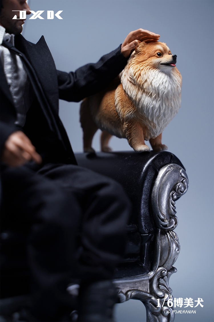 Pomeranian 1/6