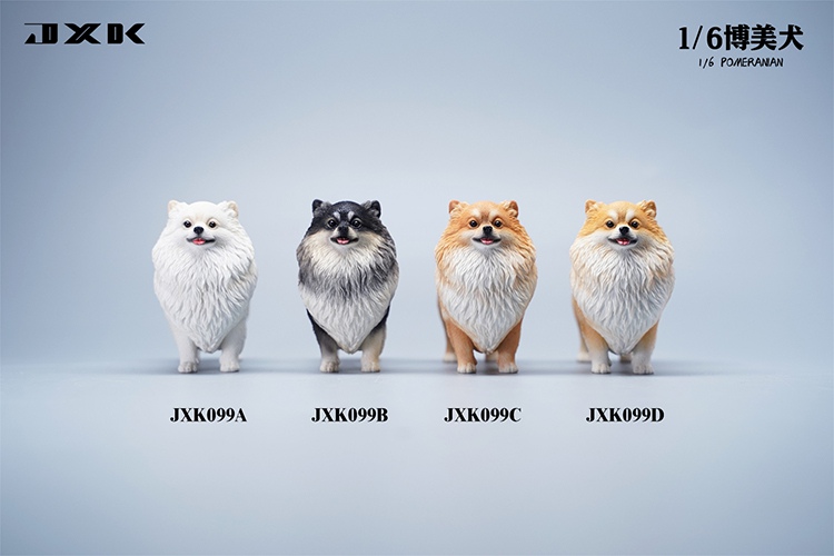 Pomeranian 1/6