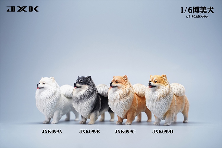 Pomeranian 1/6