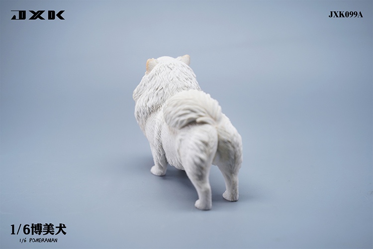 Pomeranian 1/6