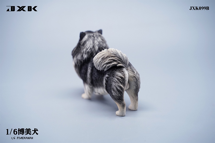 Pomeranian 1/6