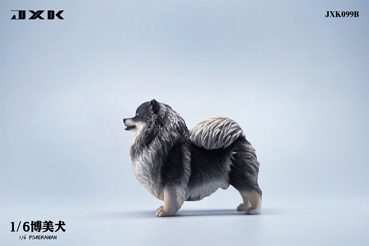 Pomeranian 1/6