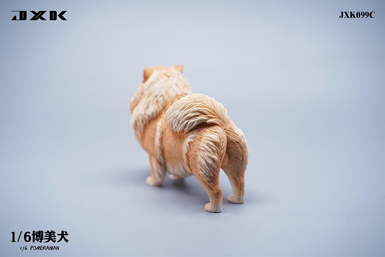 Pomeranian 1/6
