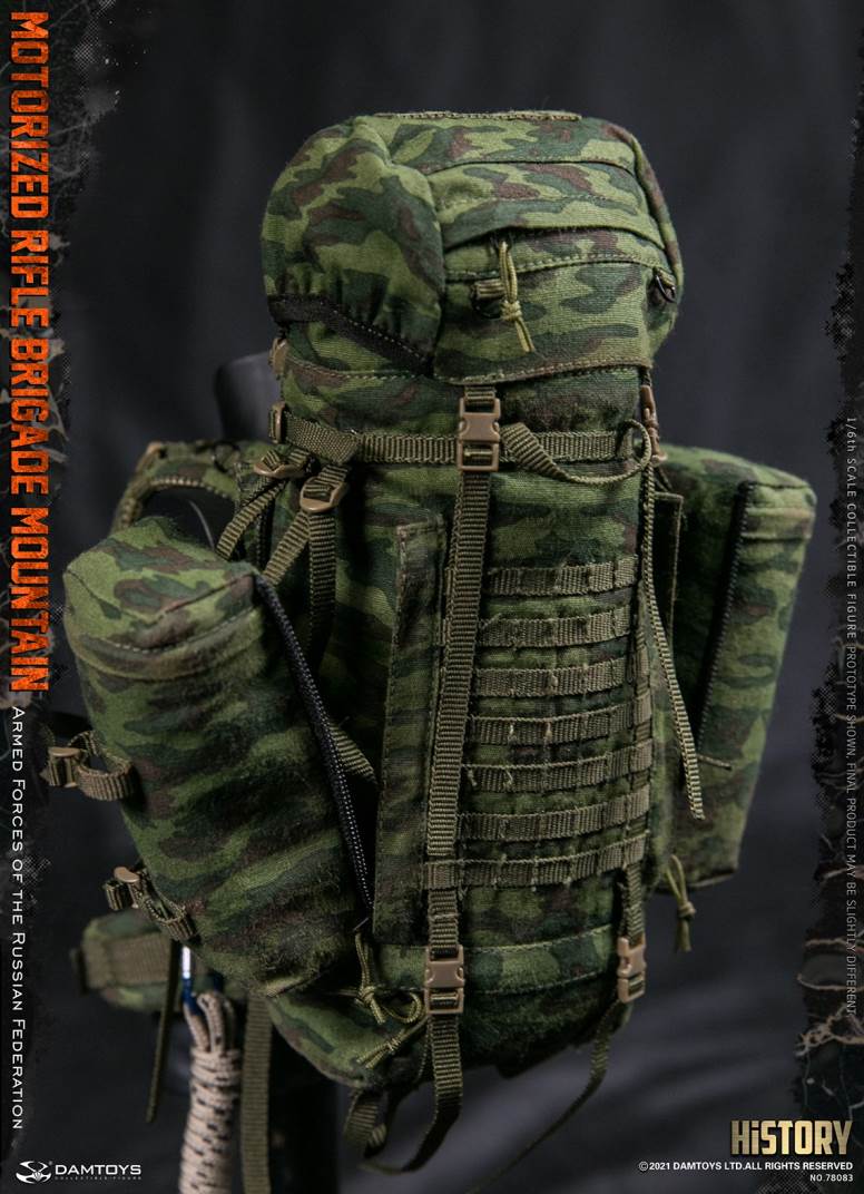 1/6 Armed Forces of the Russian Federation