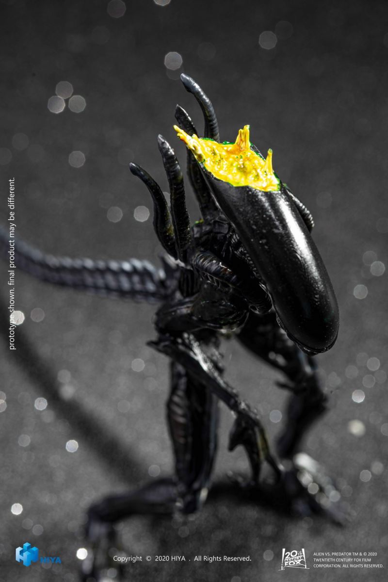 Extreme Mini Series 1/18 Alien vs. Predator - Alien Warrior
