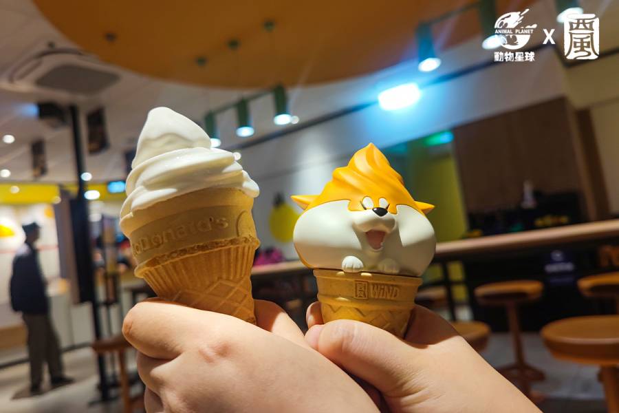 Achai Wolfberry Series 5 - Ice Cream: Original, Chocolate, Vanilla