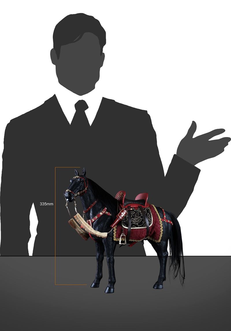 WINGED HUSSAR