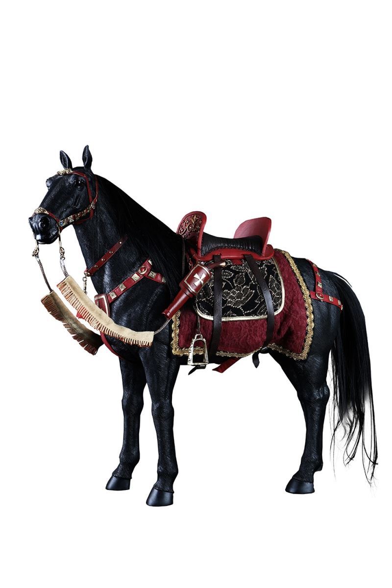 WINGED HUSSAR