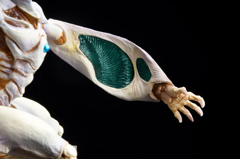 Betterman Nebura Concept Model