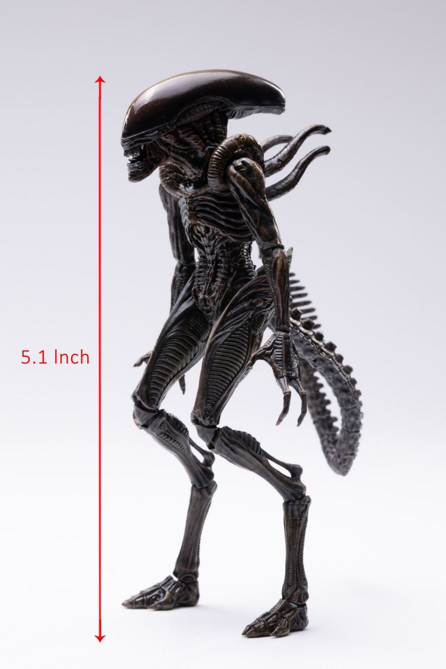 Lead Alien Warrior