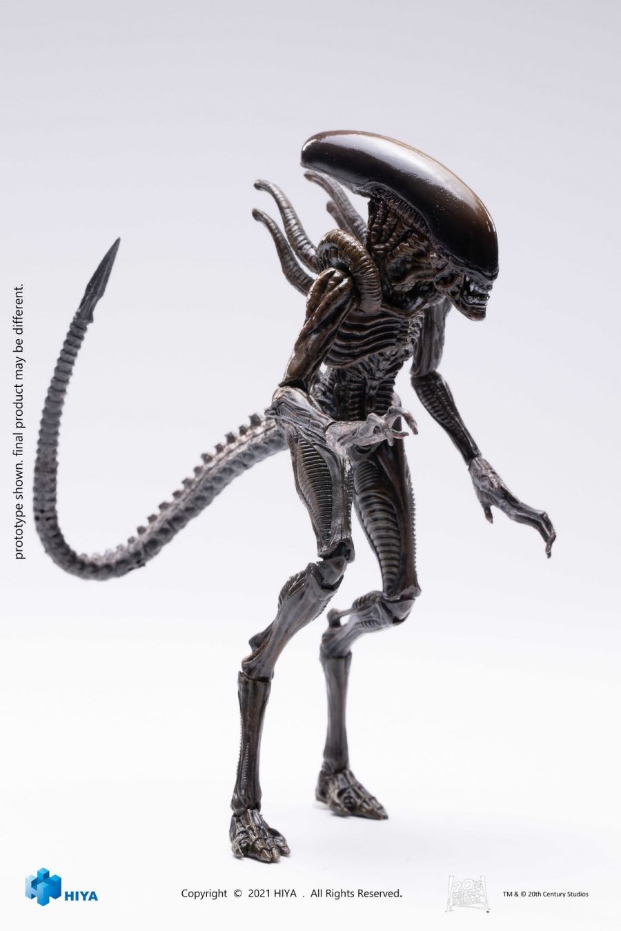 Lead Alien Warrior