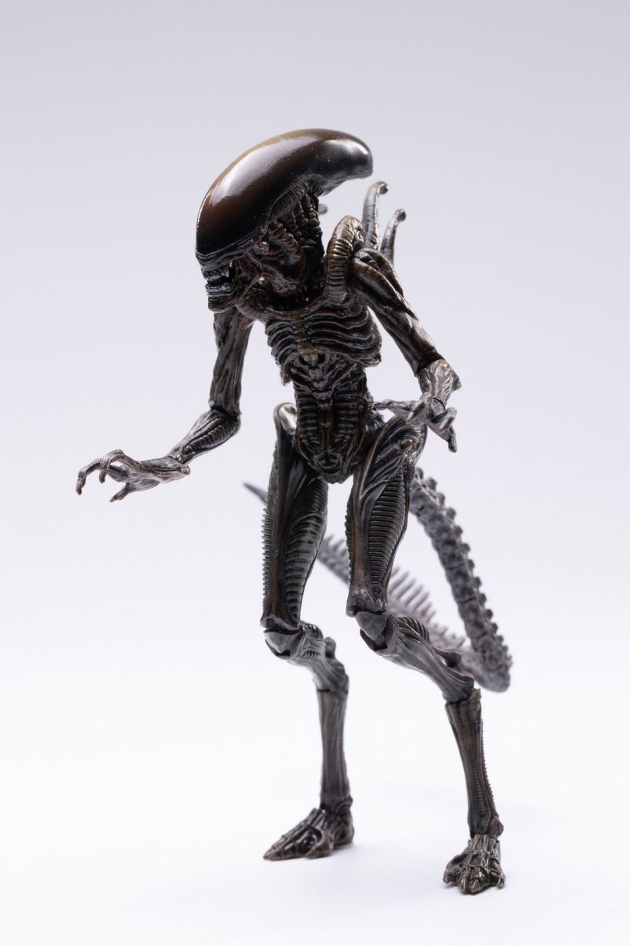 Lead Alien Warrior