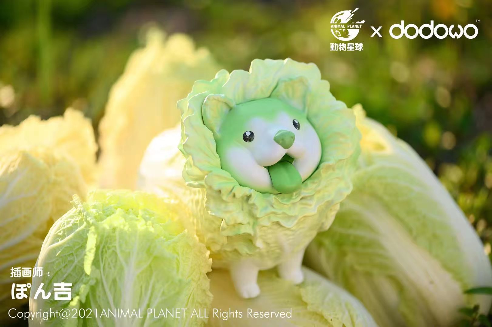 Wild Vegetable Wizard - Cabbage Dog