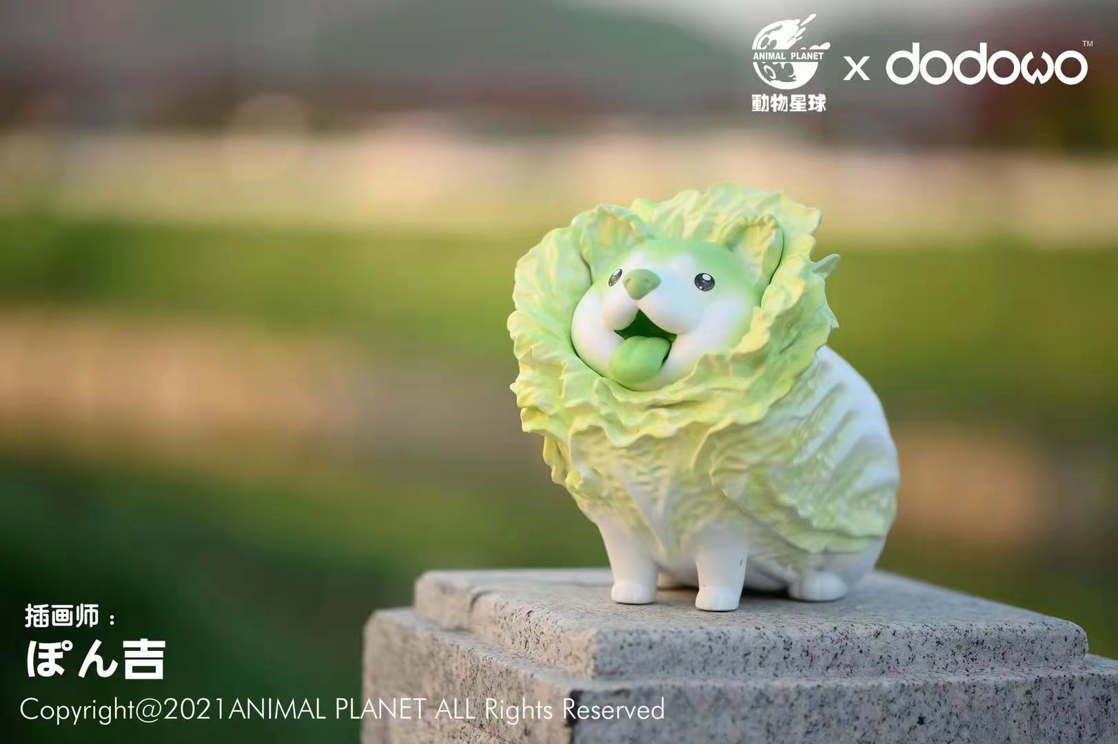 Wild Vegetable Wizard - Cabbage Dog