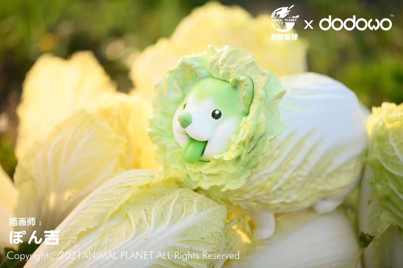 Wild Vegetable Wizard - Cabbage Dog
