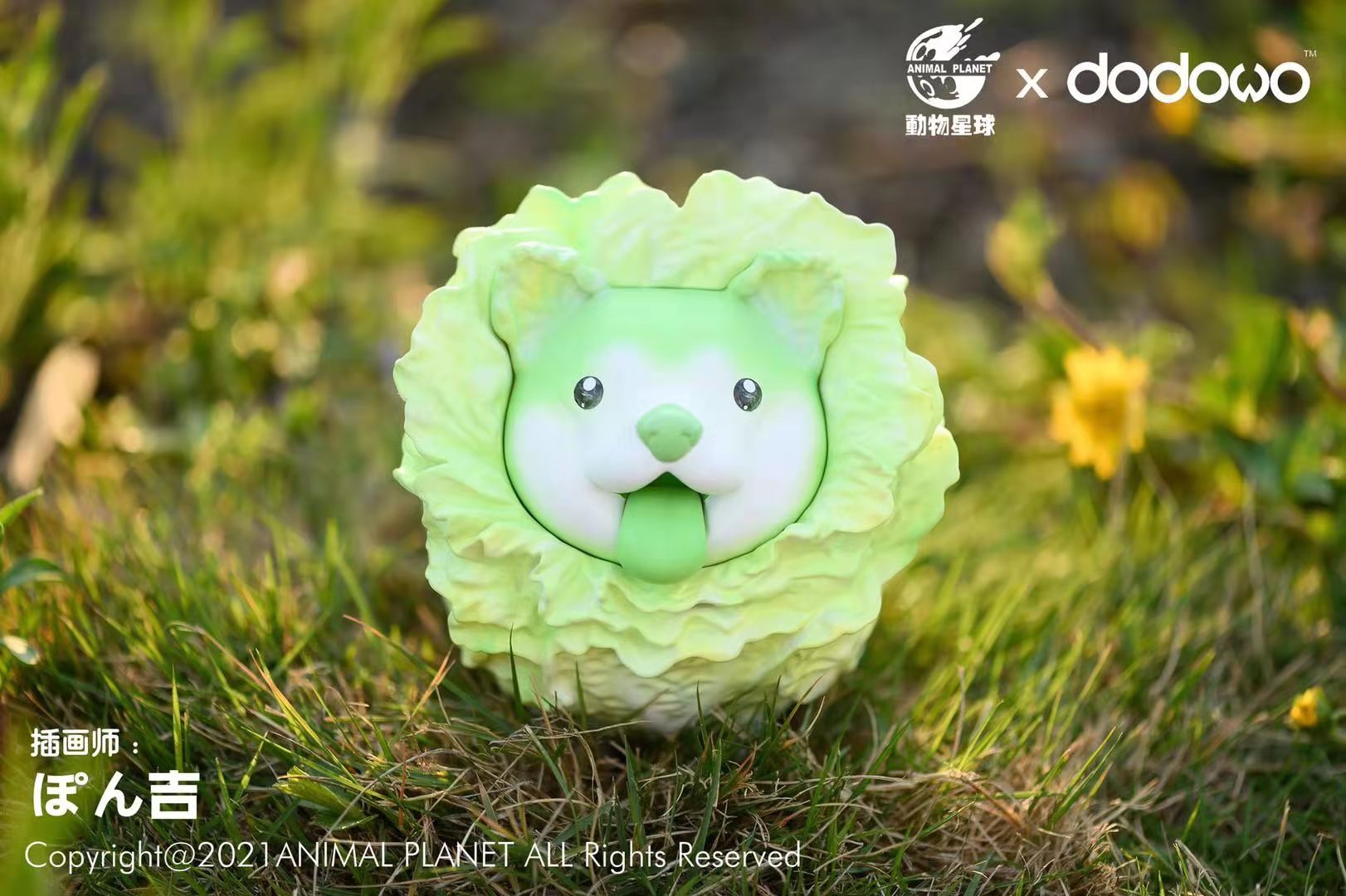 Wild Vegetable Wizard - Cabbage Dog
