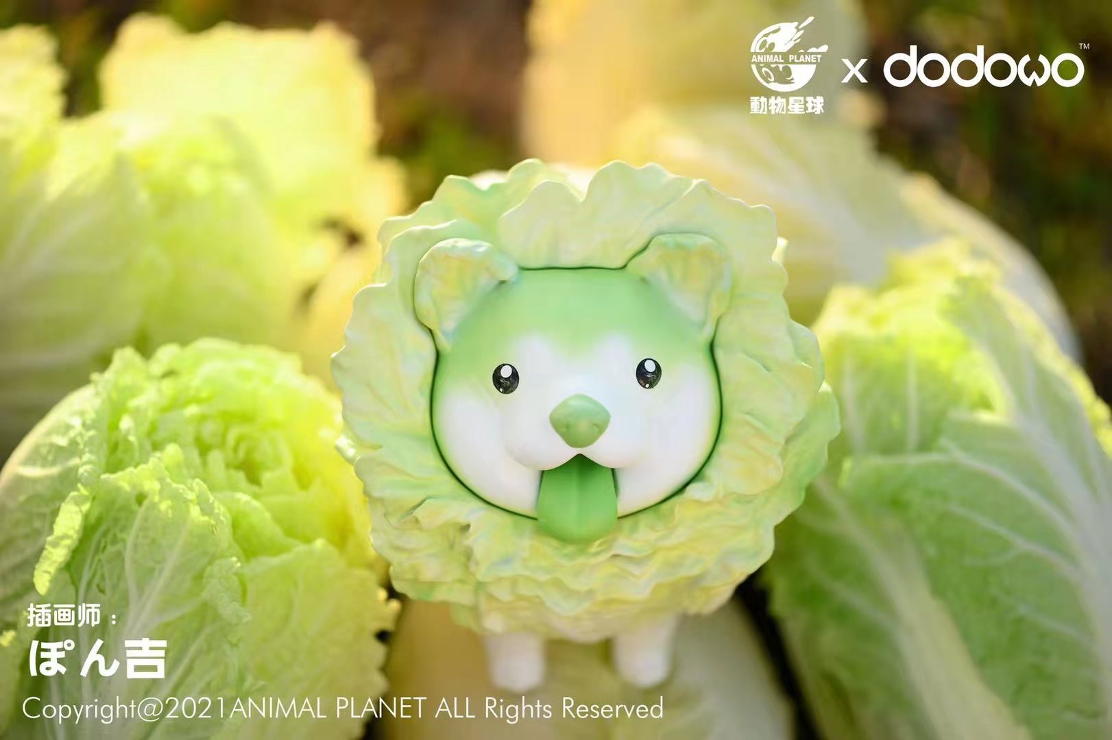 Wild Vegetable Wizard - Cabbage Dog