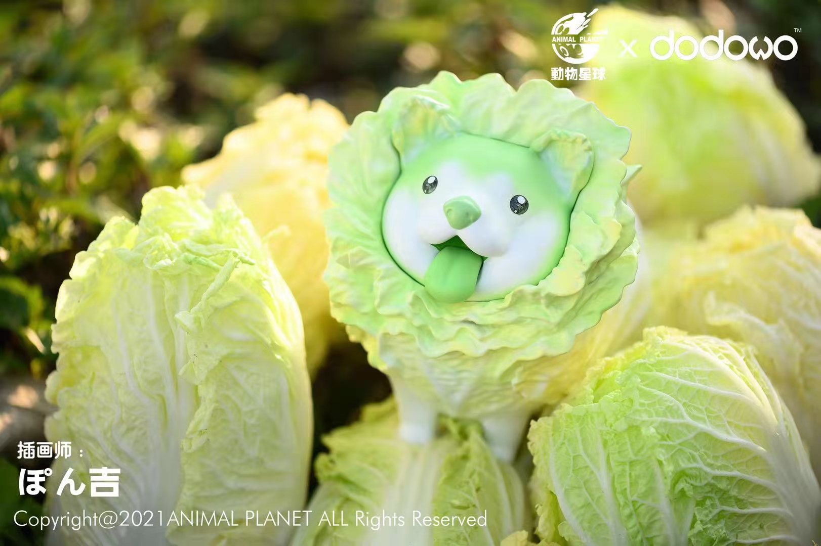 Wild Vegetable Wizard - Cabbage Dog