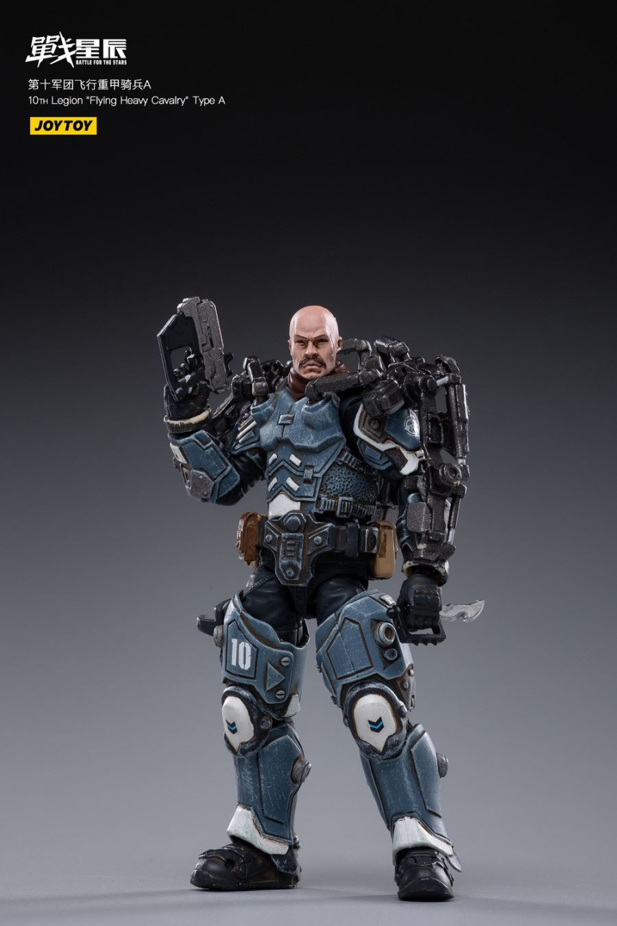 10TH Legion Flying Heavy Cavalry Type A