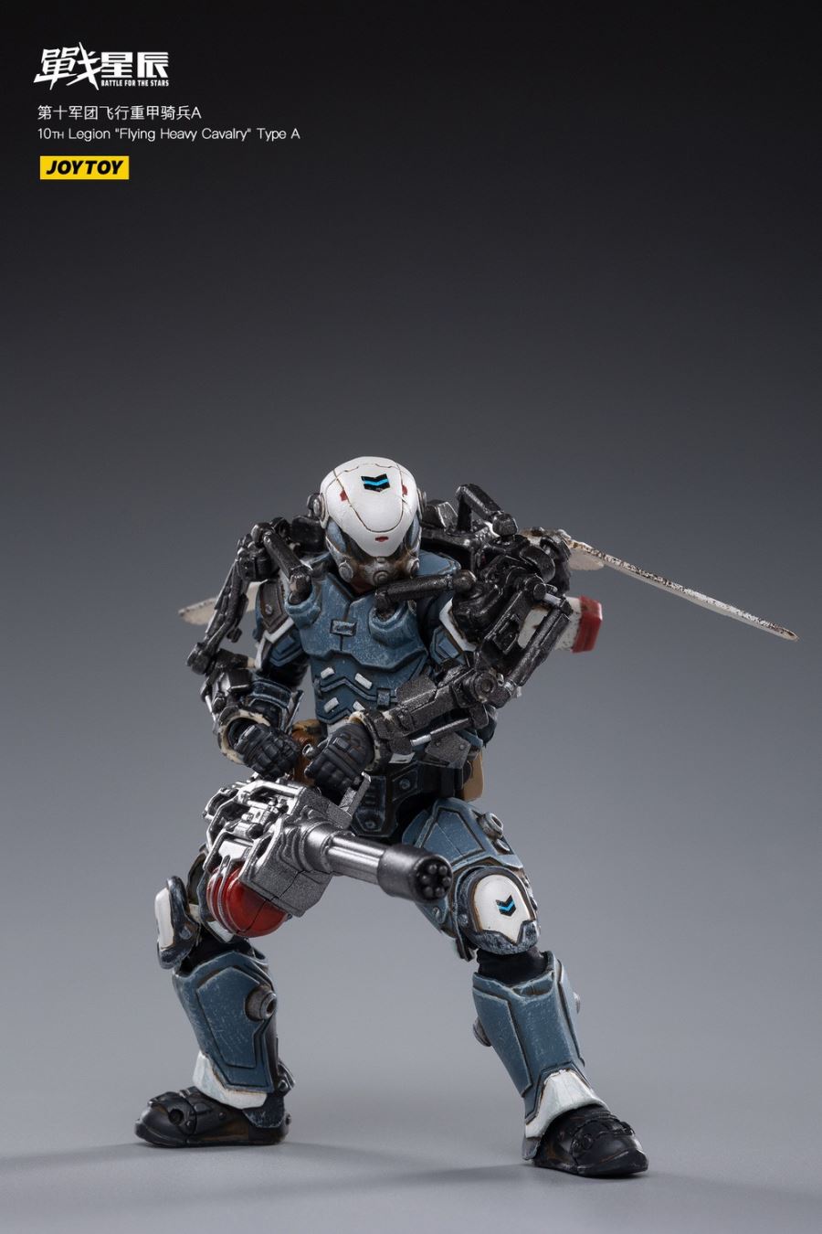 10TH Legion Flying Heavy Cavalry Type A