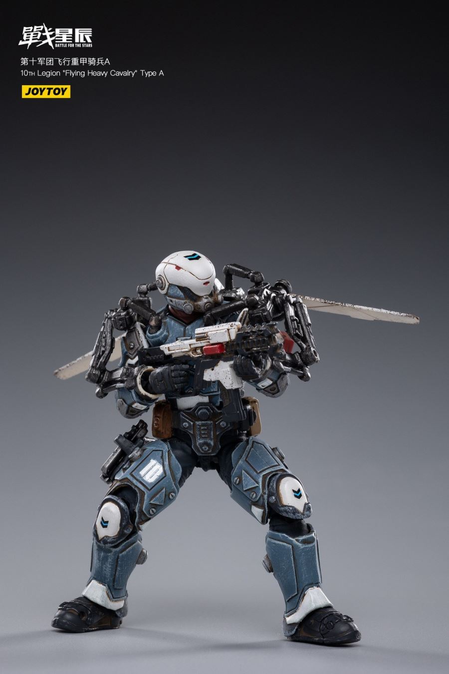 10TH Legion Flying Heavy Cavalry Type A